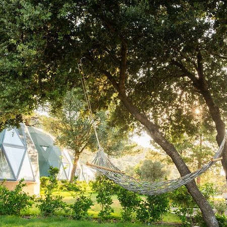 Lusso Glamping Bodrum Hotel Bagian luar foto