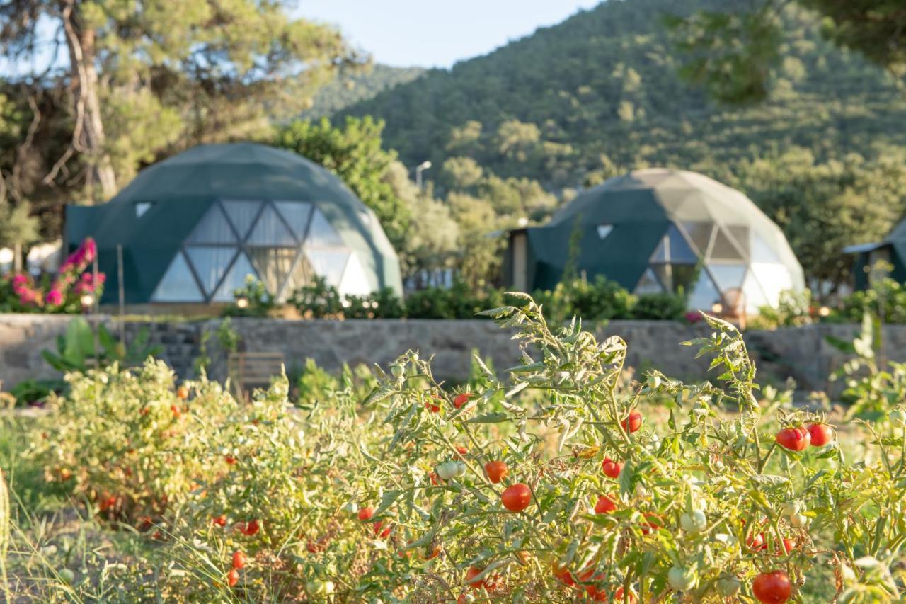 Lusso Glamping Bodrum Hotel Bagian luar foto