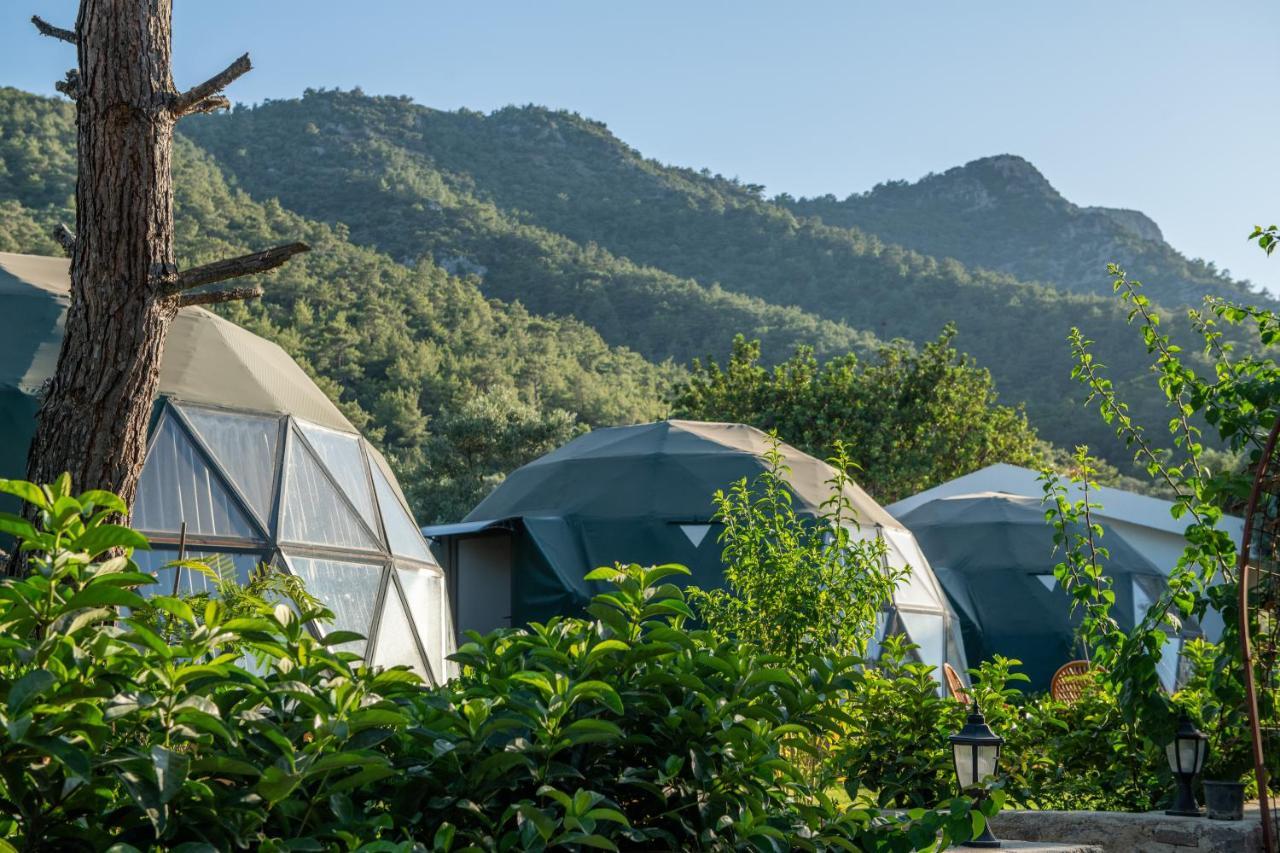 Lusso Glamping Bodrum Hotel Bagian luar foto